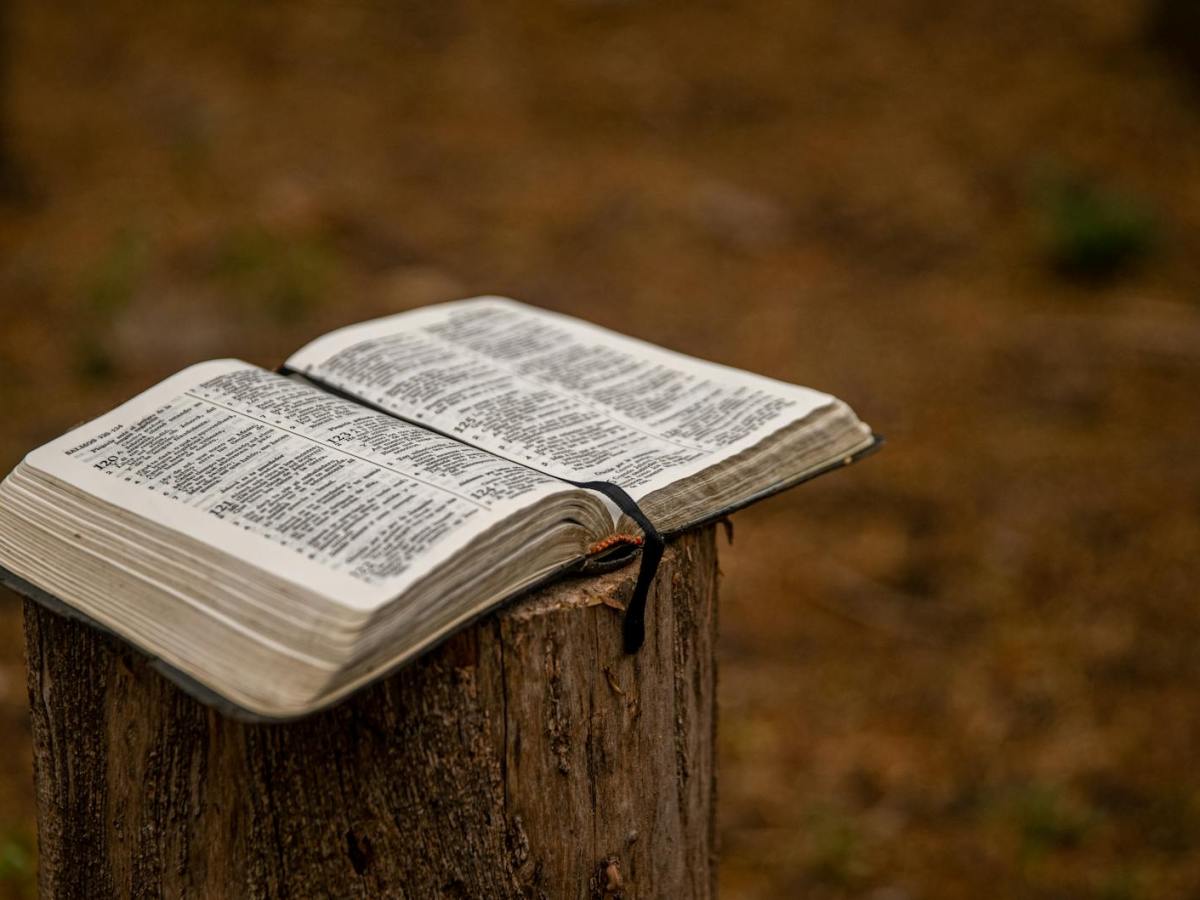 Lectio 3/24/26