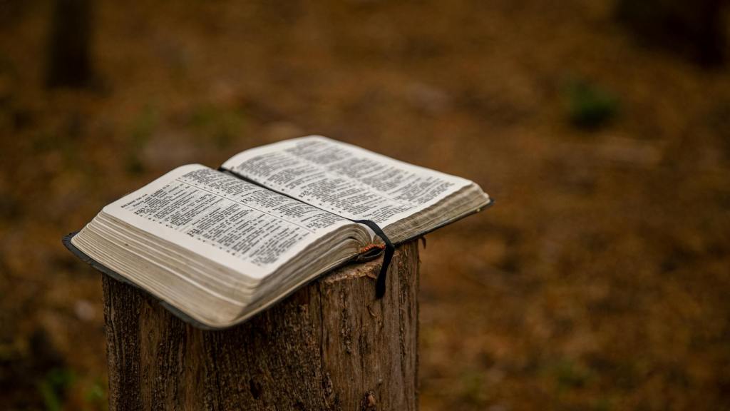Lectio 3/24/26